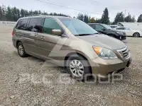 2009 Honda ODYSSEY фото