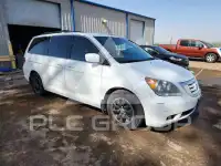 2009 Honda ODYSSEY photo