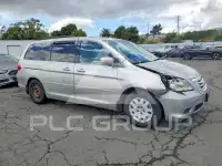 2009 Honda ODYSSEY фото