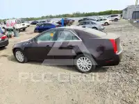 2009 Cadillac CTS фото