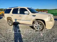 2009 Cadillac ESCALADE фото
