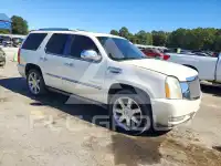 2009 Cadillac ESCALADE photo