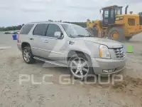 2009 Cadillac ESCALADE photo