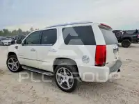 2009 Cadillac ESCALADE photo