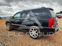 2009 Cadillac ESCALADE фото