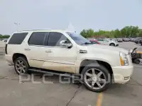 2009 Cadillac ESCALADE фото