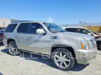 2009 Cadillac ESCALADE фото