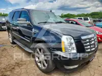 2009 Cadillac ESCALADE photo