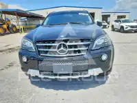 2009 Mercedes Benz ML-Class фото