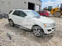 2009 Mercedes Benz ML-Class фото