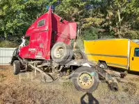 2009 Volvo VNL photo