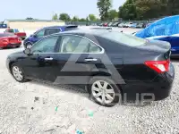 2009 Lexus ES350 фото