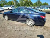 2009 Lexus ES350 фото