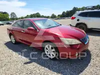 2009 Lexus ES350 фото