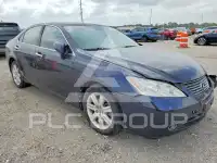 2009 Lexus ES350 фото