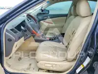 2009 Lexus ES350 фото