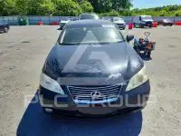 2009 Lexus ES350 фото