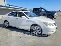 2009 Lexus ES350 фото