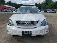 2009 Lexus RX350 фото