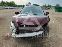 2009 Lexus RX350 photo