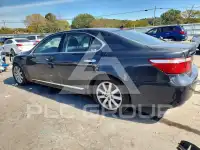 2009 Lexus LS460 фото