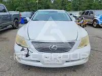 2009 Lexus LS460 фото