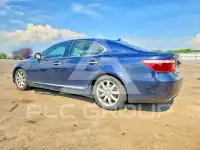2009 Lexus LS460 фото