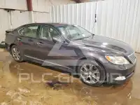 2009 Lexus LS460 photo