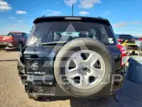 2009 Toyota RAV4 фото