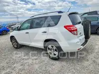 2009 Toyota RAV4 фото