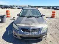 2009 Toyota COROLLA фото