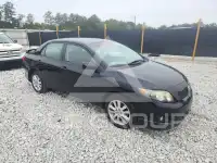 2009 Toyota COROLLA photo