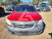 2009 Toyota COROLLA photo