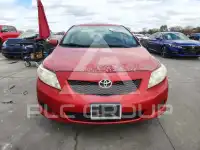 2009 Toyota COROLLA фото