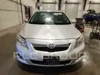 2009 Toyota COROLLA фото