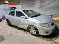 2009 Toyota COROLLA фото