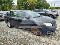 2009 Toyota COROLLA photo