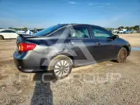 2009 Toyota COROLLA фото