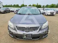 2009 Toyota COROLLA фото