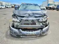 2009 Toyota COROLLA photo