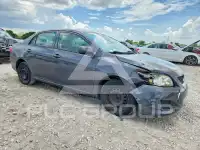 2009 Toyota COROLLA photo