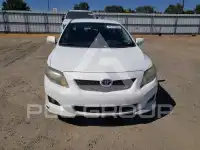 2009 Toyota COROLLA photo