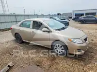 2009 Toyota COROLLA photo