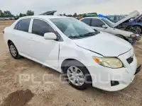 2009 Toyota COROLLA фото