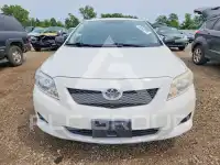 2009 Toyota COROLLA фото