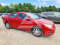 2009 Toyota COROLLA photo