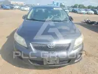 2009 Toyota COROLLA photo