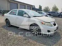2009 Toyota COROLLA фото