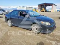 2009 Toyota COROLLA photo