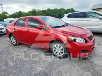 2009 Toyota COROLLA photo